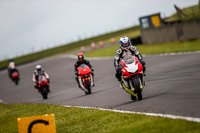 PJ-Motorsport-2019;anglesey-no-limits-trackday;anglesey-photographs;anglesey-trackday-photographs;enduro-digital-images;event-digital-images;eventdigitalimages;no-limits-trackdays;peter-wileman-photography;racing-digital-images;trac-mon;trackday-digital-images;trackday-photos;ty-croes